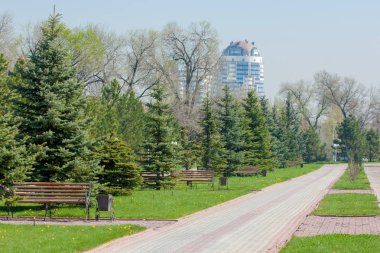 Kazakistan, erken bahar. Ülkenin ilk başkanı Park. Central park güneşli gün. güzel yeşil park