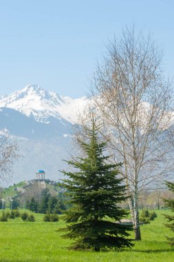 Kazakistan, erken bahar. Ülkenin ilk başkanı Park. Central park güneşli gün. güzel yeşil park