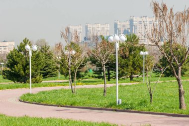 Kazakistan, erken bahar. Ülkenin ilk başkanı Park. Central park güneşli gün. güzel yeşil park
