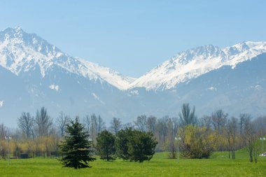 Kazakistan, erken bahar. Ülkenin ilk başkanı Park. Central park güneşli gün. güzel yeşil park