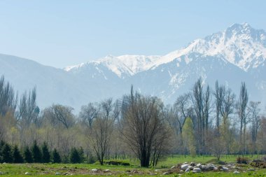 Kazakistan, erken bahar. Ülkenin ilk başkanı Park. Central park güneşli gün. güzel yeşil park