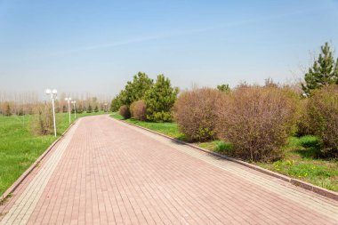 Kazakistan, erken bahar. Ülkenin ilk başkanı Park. Central park güneşli gün. güzel yeşil park