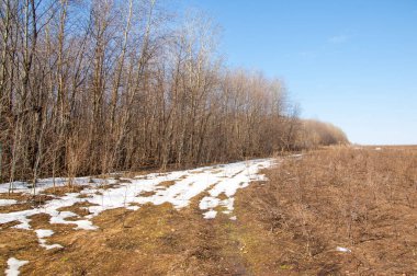 Bahar son kar. Toprak yolun son kar ile kaplı. Bu yıl harika zaman