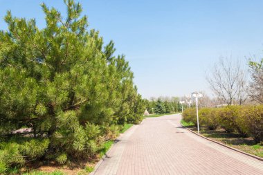 Kazakistan, erken bahar. Ülkenin ilk başkanı Park. Central park güneşli gün. güzel yeşil park