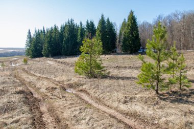 Bahar son kar. Toprak yolun son kar ile kaplı. Bu yıl harika zaman