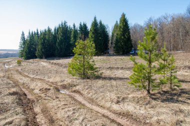 Bahar son kar. Toprak yolun son kar ile kaplı. Bu yıl harika zaman