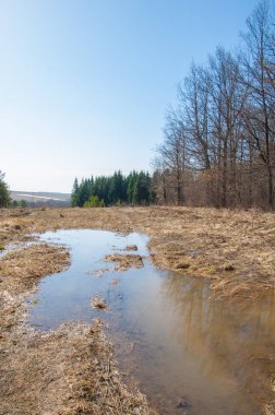 Bahar son kar. Toprak yolun son kar ile kaplı. Bu yıl harika zaman