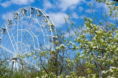 Elma ağaçları çiçek. genellikle parlak renkli bir corolla (taç yaprakları tarafından çevrili üreme organları (stamens ve carpels) oluşan bir bitki, tohum taşıyan parçası)
