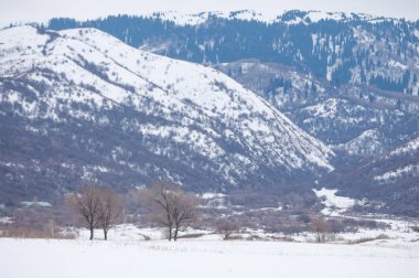 Bahar manzara, ilkbahar toprak yol. Trans-Ili Alatau eteklerinde