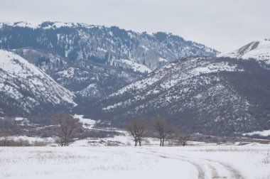 Bahar manzara, ilkbahar toprak yol. Trans-Ili Alatau eteklerinde