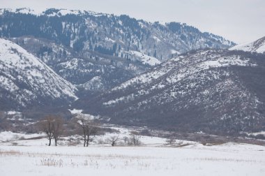 Bahar manzara, ilkbahar toprak yol. Trans-Ili Alatau eteklerinde