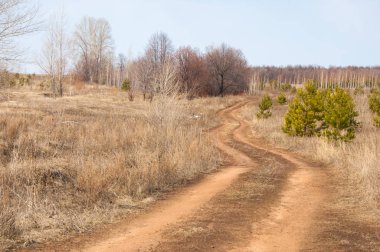 Bahar manzara, asfaltsız toprak yol