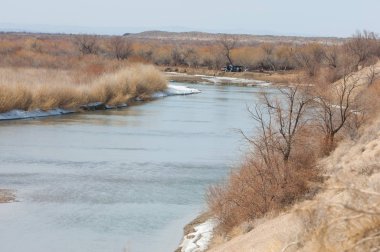 kum. Bahar. su. kar. haloxylon. Orta Asya, sinkiang, haloxylon ammodendron, haloxylon persicum, beyaz saxaul, saxaul serçe, plantae, kapalı tohumlular, fikir, temel fikir, caryophyllales, amaranthaceae, salsoloideae, Kuru, çöl, gökyüzü, bl