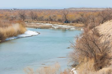 kum. Bahar. su. kar. haloxylon. Orta Asya, sinkiang, haloxylon ammodendron, haloxylon persicum, beyaz saxaul, saxaul serçe, plantae, kapalı tohumlular, fikir, temel fikir, caryophyllales, amaranthaceae, salsoloideae, Kuru, çöl, gökyüzü, bl