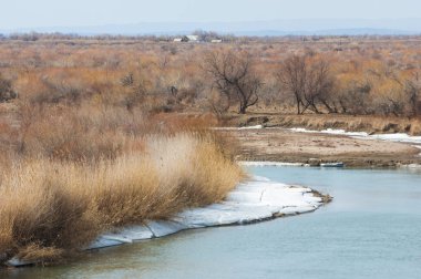 kum. Bahar. su. kar. haloxylon. Orta Asya, sinkiang, haloxylon ammodendron, haloxylon persicum, beyaz saxaul, saxaul serçe, plantae, kapalı tohumlular, fikir, temel fikir, caryophyllales, amaranthaceae, salsoloideae, Kuru, çöl, gökyüzü, bl