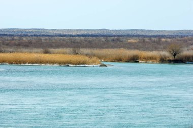 kum. Bahar. su. kar. haloxylon. Orta Asya, sinkiang, haloxylon ammodendron, haloxylon persicum, beyaz saxaul, saxaul serçe, plantae, kapalı tohumlular, fikir, temel fikir, caryophyllales, amaranthaceae, salsoloideae, Kuru, çöl, gökyüzü, bl