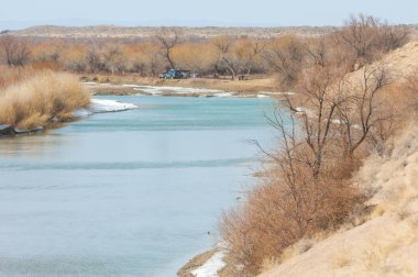 kum. Bahar. su. kar. haloxylon. Orta Asya, sinkiang, haloxylon ammodendron, haloxylon persicum, beyaz saxaul, saxaul serçe, plantae, kapalı tohumlular, fikir, temel fikir, caryophyllales, amaranthaceae, salsoloideae, Kuru, çöl, gökyüzü, bl