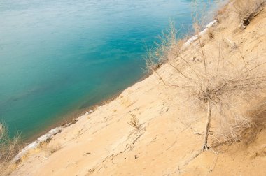 kum. Bahar. su. kar. haloxylon. Orta Asya, sinkiang, haloxylon ammodendron, haloxylon persicum, beyaz saxaul, saxaul serçe, plantae, kapalı tohumlular, fikir, temel fikir, caryophyllales, amaranthaceae, salsoloideae, Kuru, çöl, gökyüzü, bl