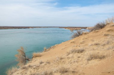 kum. Bahar. su. kar. haloxylon. Orta Asya, sinkiang, haloxylon ammodendron, haloxylon persicum, beyaz saxaul, saxaul serçe, plantae, kapalı tohumlular, fikir, temel fikir, caryophyllales, amaranthaceae, salsoloideae, Kuru, çöl, gökyüzü, bl