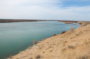 kum. Bahar. su. kar. haloxylon. Orta Asya, sinkiang, haloxylon ammodendron, haloxylon persicum, beyaz saxaul, saxaul serçe, plantae, kapalı tohumlular, fikir, temel fikir, caryophyllales, amaranthaceae, salsoloideae, Kuru, çöl, gökyüzü, bl