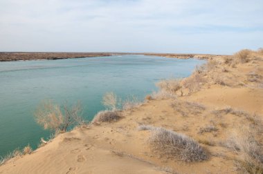 kum. Bahar. su. kar. haloxylon. Orta Asya, sinkiang, haloxylon ammodendron, haloxylon persicum, beyaz saxaul, saxaul serçe, plantae, kapalı tohumlular, fikir, temel fikir, caryophyllales, amaranthaceae, salsoloideae, Kuru, çöl, gökyüzü, bl