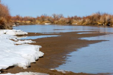 nehir son buz. Son buz parçası. son buz Ili Nehri üzerinde iğne. Orta Asya, Kazakistan bozkırlarında