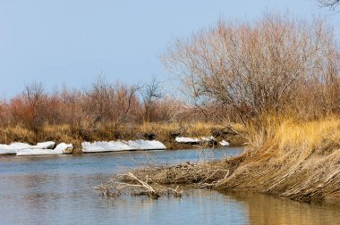 nehir son buz. Son buz parçası. son buz Ili Nehri üzerinde iğne. Orta Asya, Kazakistan bozkırlarında