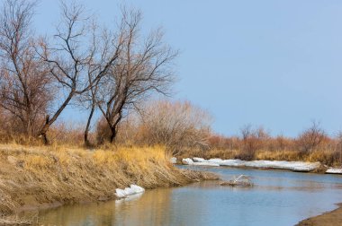 nehir son buz. Son buz parçası. son buz Ili Nehri üzerinde iğne. Orta Asya, Kazakistan bozkırlarında