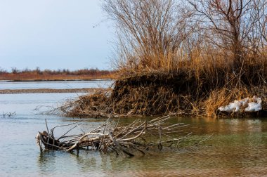 nehir son buz. Son buz parçası. son buz Ili Nehri üzerinde iğne. Orta Asya, Kazakistan bozkırlarında