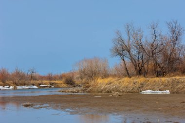 nehir son buz. Son buz parçası. son buz Ili Nehri üzerinde iğne. Orta Asya, Kazakistan bozkırlarında