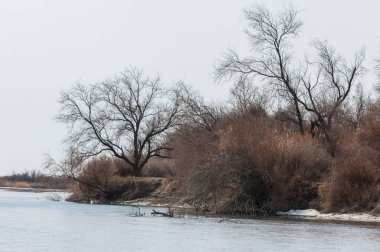 nehir son buz. Son buz parçası. son buz Ili Nehri üzerinde iğne. Orta Asya, Kazakistan bozkırlarında