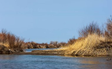 nehir son buz. Son buz parçası. son buz Ili Nehri üzerinde iğne. Orta Asya, Kazakistan bozkırlarında