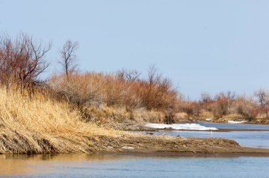 nehir son buz. Son buz parçası. son buz Ili Nehri üzerinde iğne. Orta Asya, Kazakistan bozkırlarında