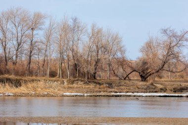 nehir son buz. Son buz parçası. son buz Ili Nehri üzerinde iğne. Orta Asya, Kazakistan bozkırlarında