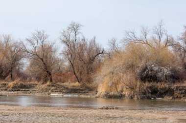 nehir son buz. Son buz parçası. son buz Ili Nehri üzerinde iğne. Orta Asya, Kazakistan bozkırlarında