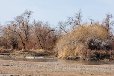 nehir son buz. Son buz parçası. son buz Ili Nehri üzerinde iğne. Orta Asya, Kazakistan bozkırlarında