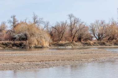 nehir son buz. Son buz parçası. son buz Ili Nehri üzerinde iğne. Orta Asya, Kazakistan bozkırlarında