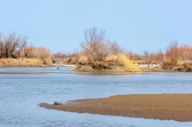 nehir son buz. Son buz parçası. son buz Ili Nehri üzerinde iğne. Orta Asya, Kazakistan bozkırlarında