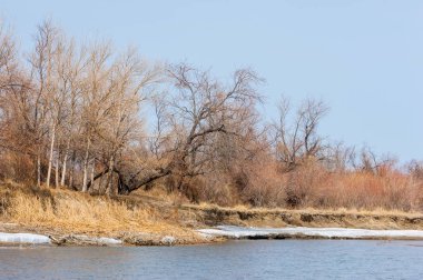 nehir son buz. Son buz parçası. son buz Ili Nehri üzerinde iğne. Orta Asya, Kazakistan bozkırlarında
