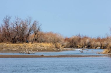 nehir son buz. Son buz parçası. son buz Ili Nehri üzerinde iğne. Orta Asya, Kazakistan bozkırlarında