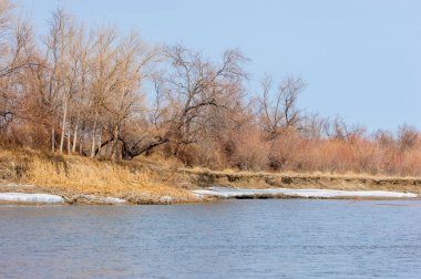 nehir son buz. Son buz parçası. son buz Ili Nehri üzerinde iğne. Orta Asya, Kazakistan bozkırlarında