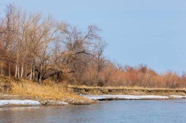 nehir son buz. Son buz parçası. son buz Ili Nehri üzerinde iğne. Orta Asya, Kazakistan bozkırlarında