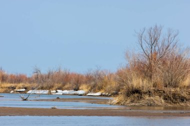 nehir son buz. Son buz parçası. son buz Ili Nehri üzerinde iğne. Orta Asya, Kazakistan bozkırlarında