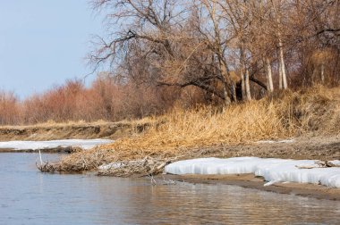 nehir son buz. Son buz parçası. son buz Ili Nehri üzerinde iğne. Orta Asya, Kazakistan bozkırlarında