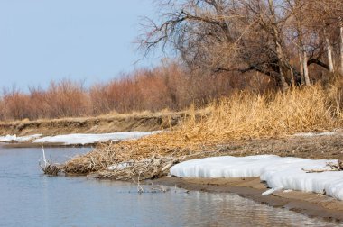 nehir son buz. Son buz parçası. son buz Ili Nehri üzerinde iğne. Orta Asya, Kazakistan bozkırlarında