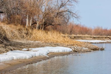 nehir son buz. Son buz parçası. son buz Ili Nehri üzerinde iğne. Orta Asya, Kazakistan bozkırlarında