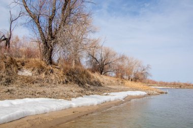 nehir son buz. Son buz parçası. son buz Ili Nehri üzerinde iğne. Orta Asya, Kazakistan bozkırlarında