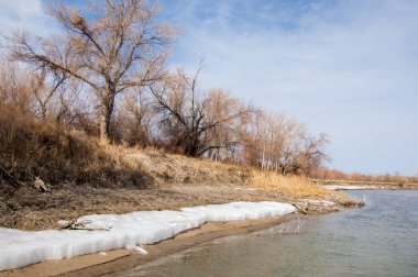 nehir son buz. Son buz parçası. son buz Ili Nehri üzerinde iğne. Orta Asya, Kazakistan bozkırlarında