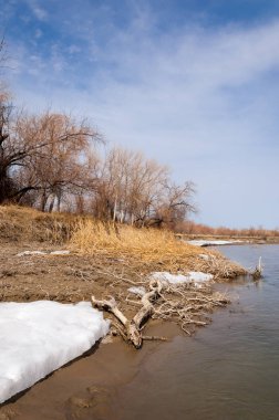 nehir son buz. Son buz parçası. son buz Ili Nehri üzerinde iğne. Orta Asya, Kazakistan bozkırlarında