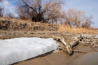 nehir son buz. Son buz parçası. son buz Ili Nehri üzerinde iğne. Orta Asya, Kazakistan bozkırlarında